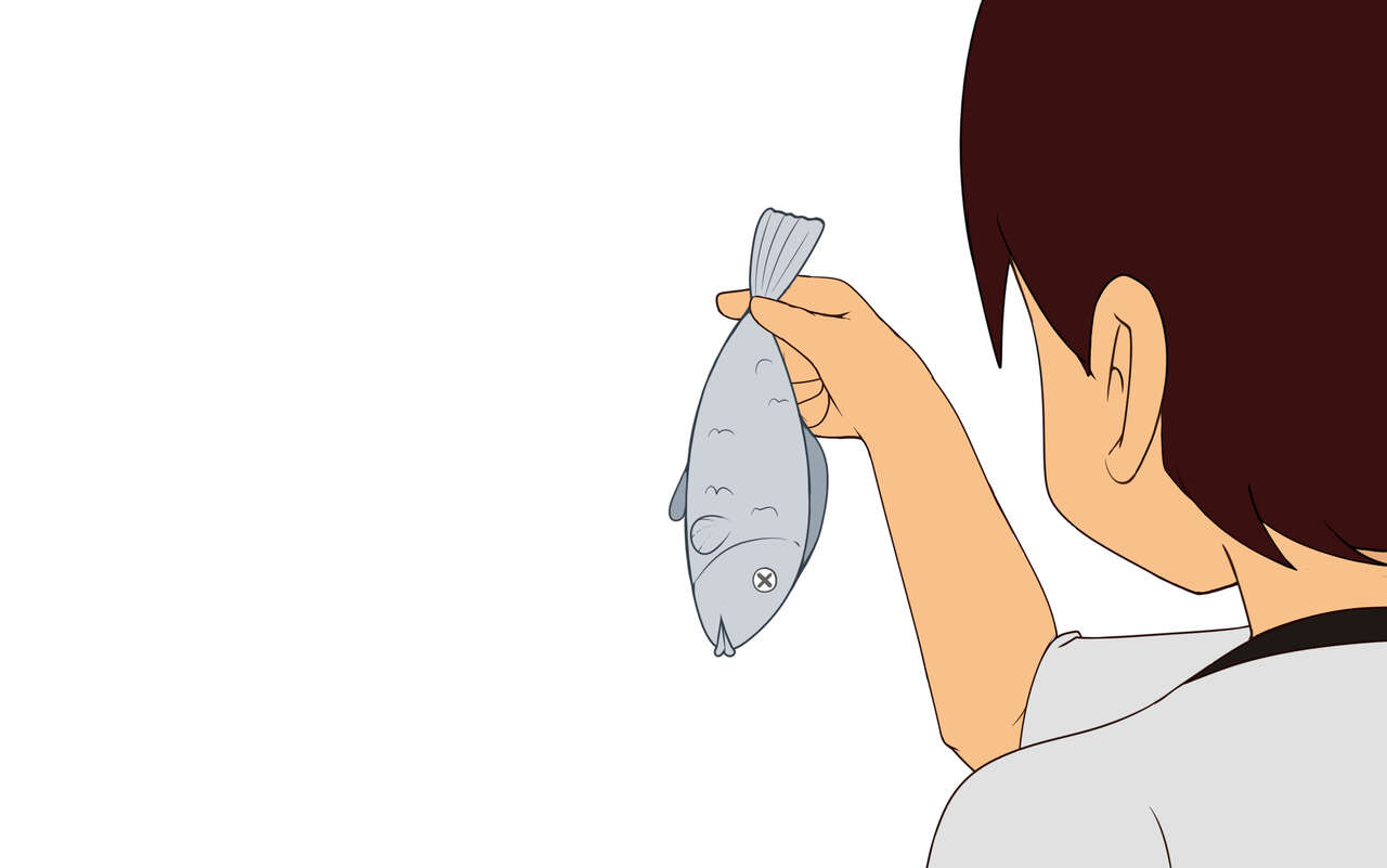 Mity Gallery & Archive 4 page 1 full