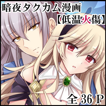 [PlatinumFish (Kirishima Riona)] Teion Yakedo (Fire Emblem If) [Digital] cover