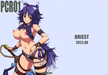 [BRIEST (Yatsushima Tetsuya)] PCR01 (Princess Connect! Re:Dive) cover