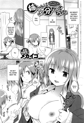 [Mekaigo] Nee-chan wa yoku wakattenai. | My Older Sister Doesn't Really Understand. Ch. 1-3 [English] [YxTL] cover