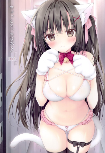 (C99) [Muzin Syoujo (Korie Riko)] Chotto Ecchi na Hon 3 cover