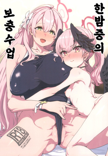(C101) [Cleari Tei (Clearite)] Yoru no Hoshuu Jugyou | 한밤중의 보충수업  (Blue Archive) [Korean] [징거더블다운맥스] cover