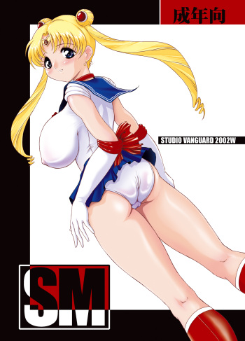(C63) [STUDIO VANGUARD (Minazuki Juuzou)] SM (Bishoujo Senshi Sailor Moon) cover