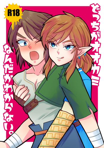 [Mizue] Docchi ga Ookami Nandaka Wakaranai. (The Legend of Zelda) [Digital] cover