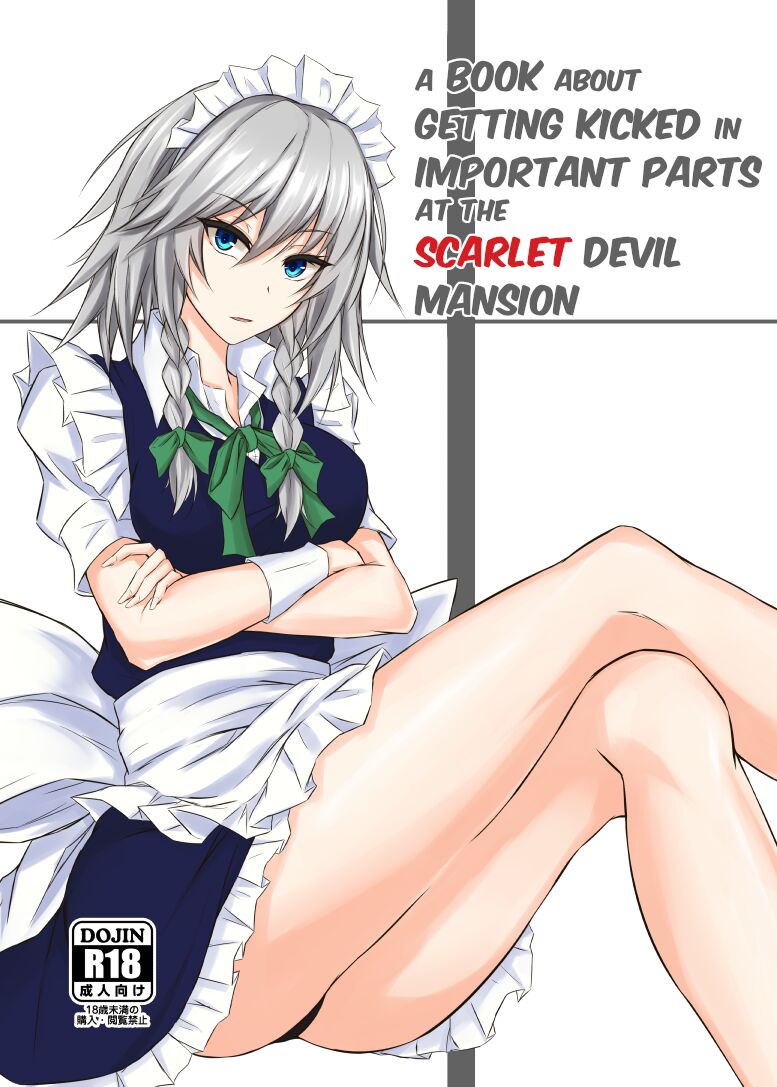 Koumakan de Daiji na Tokoro o Kerareru Hon | A book about getting kicked in important parts at the Scarlet Devil Mansion page 1 full