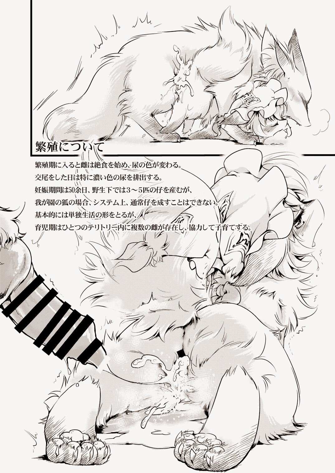 WILD ANIMALS page 7 full