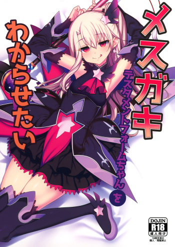 (AkihabaraDoujinsai 1) [Ranshi to Kimi to. (santa)] Mesugaki Testament Form-chan o Wakarasetai (Fate/Grand Order) [Spanish] [Rakuen Translations] [Decensored] cover