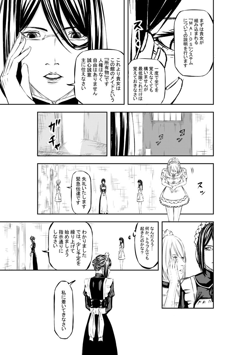 M.A.I.D.S system page 12 full