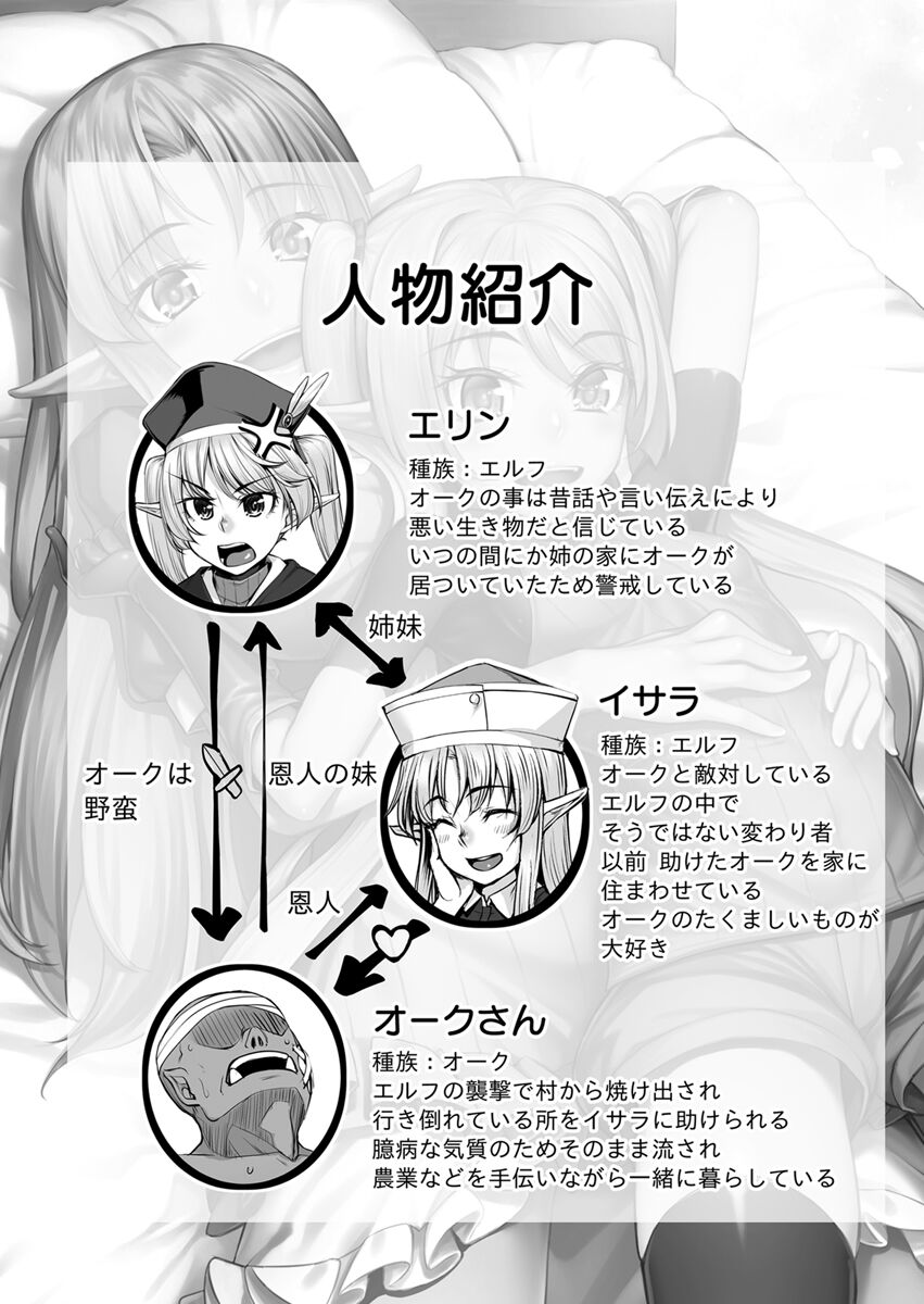 Ecchi na Elf to no Kurashikata Vol. 2 ~Imouto-chan, Mihattatsu no Karada ni wa Sugita Kairaku~ page 3 full