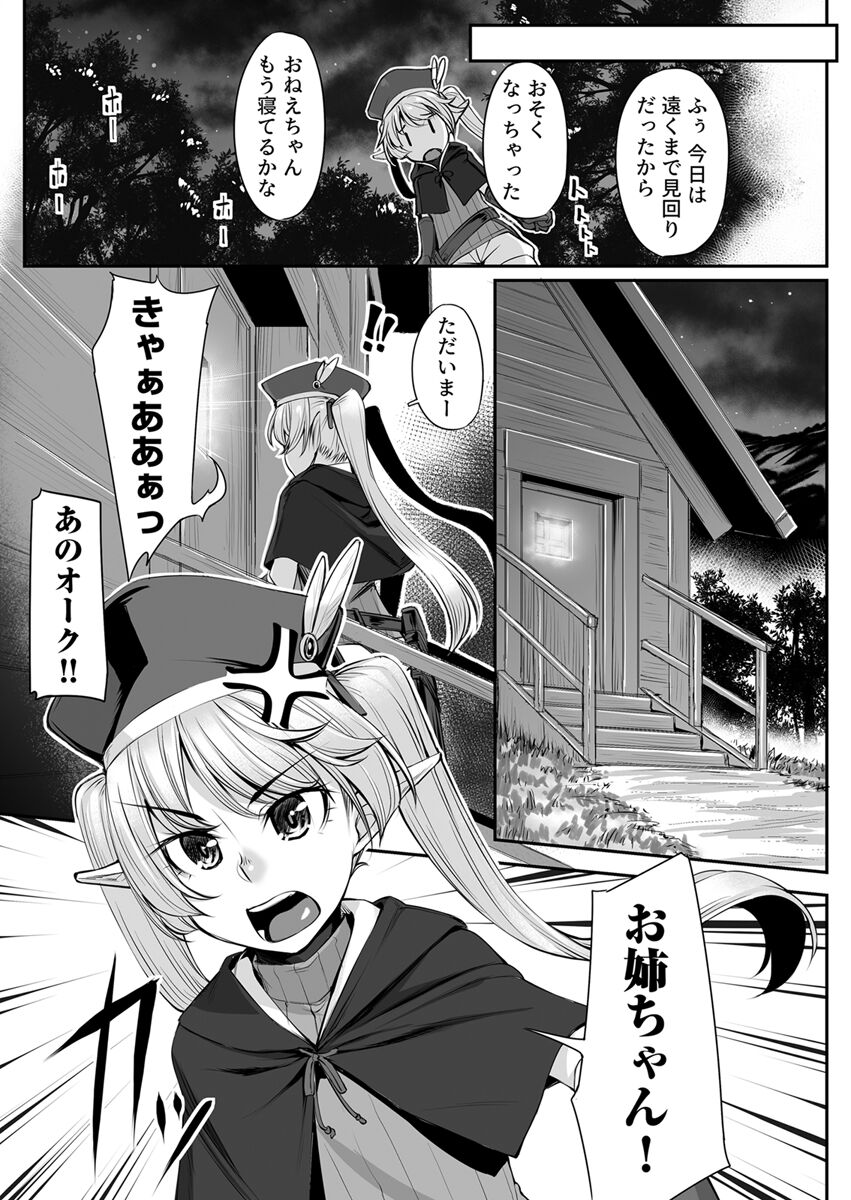Ecchi na Elf to no Kurashikata Vol. 2 ~Imouto-chan, Mihattatsu no Karada ni wa Sugita Kairaku~ page 5 full