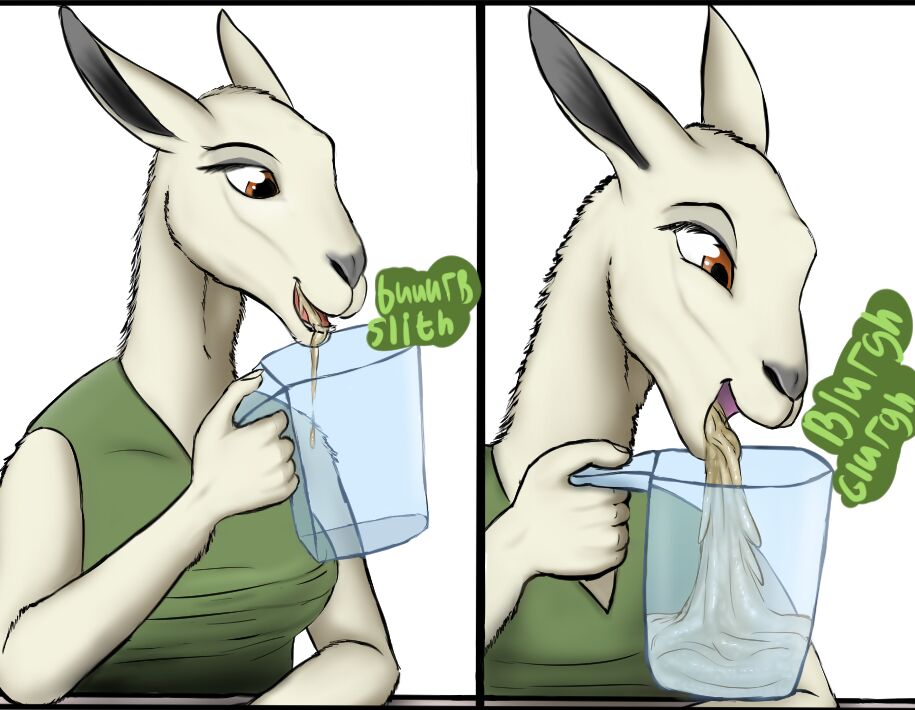 The Organic Vegan Smoothie by a Llama + Extras page 2 full