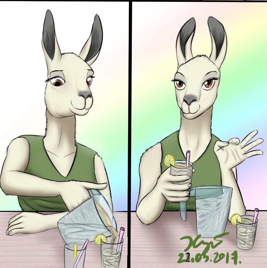 The Organic Vegan Smoothie by a Llama + Extras page 3 full