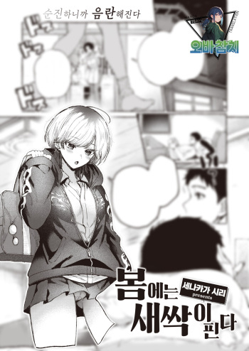 [Senakagashiri] Haru ni Mebuku | 봄에는 새싹이 핀다 (COMIC Kairakuten 2024-01) [Korean] [팀 오바참치] [Digital] cover