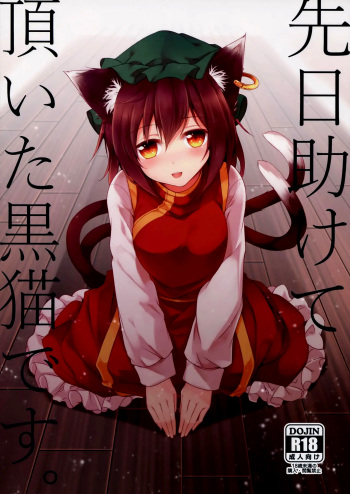 (Yakumo no Himitsu Kichi) [Midorineko (Midori)] Senjitsu Tasukete Itadaita Kuroneko desu. (Touhou Project) [Spanish] [Doragon no Tensei] cover