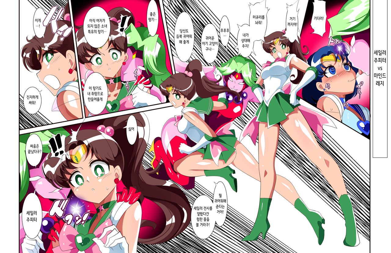 Sailor Senshi no Kunan | 세일러 전사의 고난 page 11 full