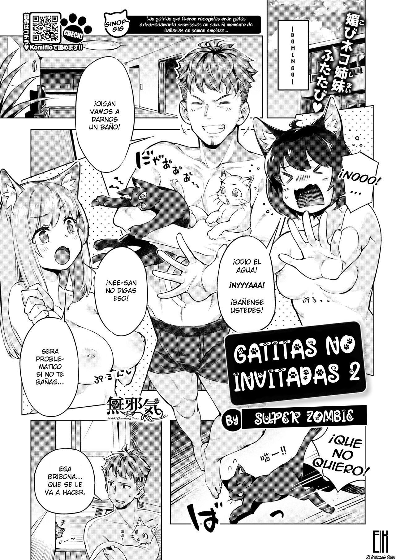 Oyukake Nyanko | Gatitas no invitadas  2 page 1 full