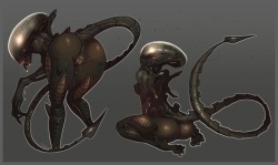 Test Subject: X8W-8 "Whiskey"