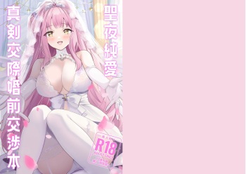 [One and Only (せち)] 聖夜純愛真剣交際婚前交渉本 (ブルーアーカイブ)【DL版】 cover
