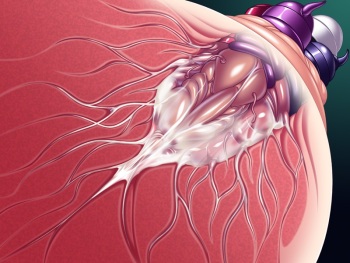 x-Ray_02 [ADelta] cover