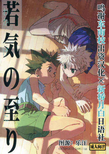 (C93) [Watagashi Maker (Tomiko)] Wakage no Itari | Imprudencia Juvenil  (Hunter x Hunter) [Spanish] [Starlit Fansub] cover