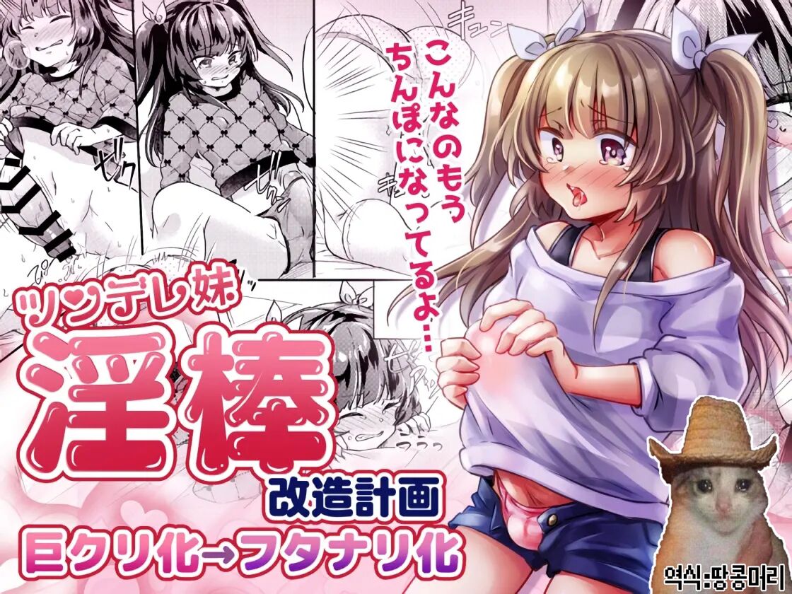 Tsundere Imouto Inbou Kaizou Keikaku | 츤데레 여동생 창녀 개조 계획 page 1 full