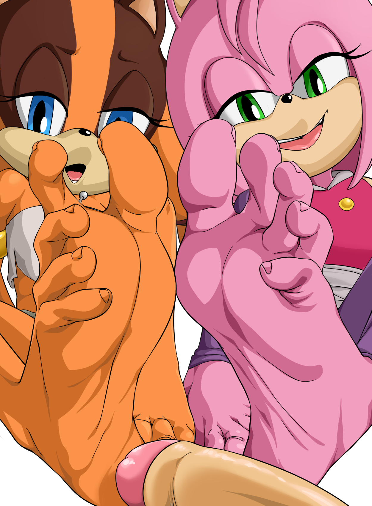 Amy Rose & Sticks Fullset page 1 full