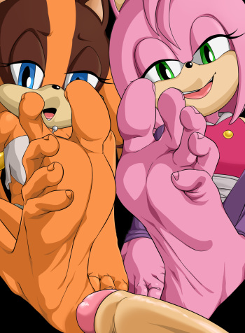[Rankerhen] Amy Rose & Sticks Fullset cover