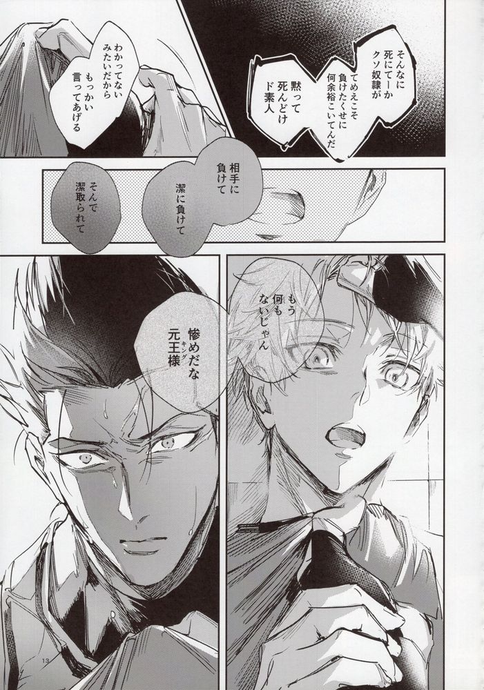 VIVID ADDITIVE MIXTURE page 12 full