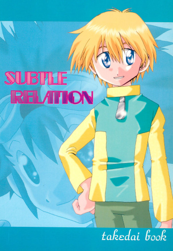 [Modimodiya (Akutsu Hideyuki)] SUBTLE RELATION (Digimon Adventure 02) cover