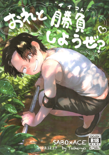 [Hamachi Rinkai Koen (Taiheiyou)] Ore to Shoubu Shiyou Ze? (ONE PIECE) cover