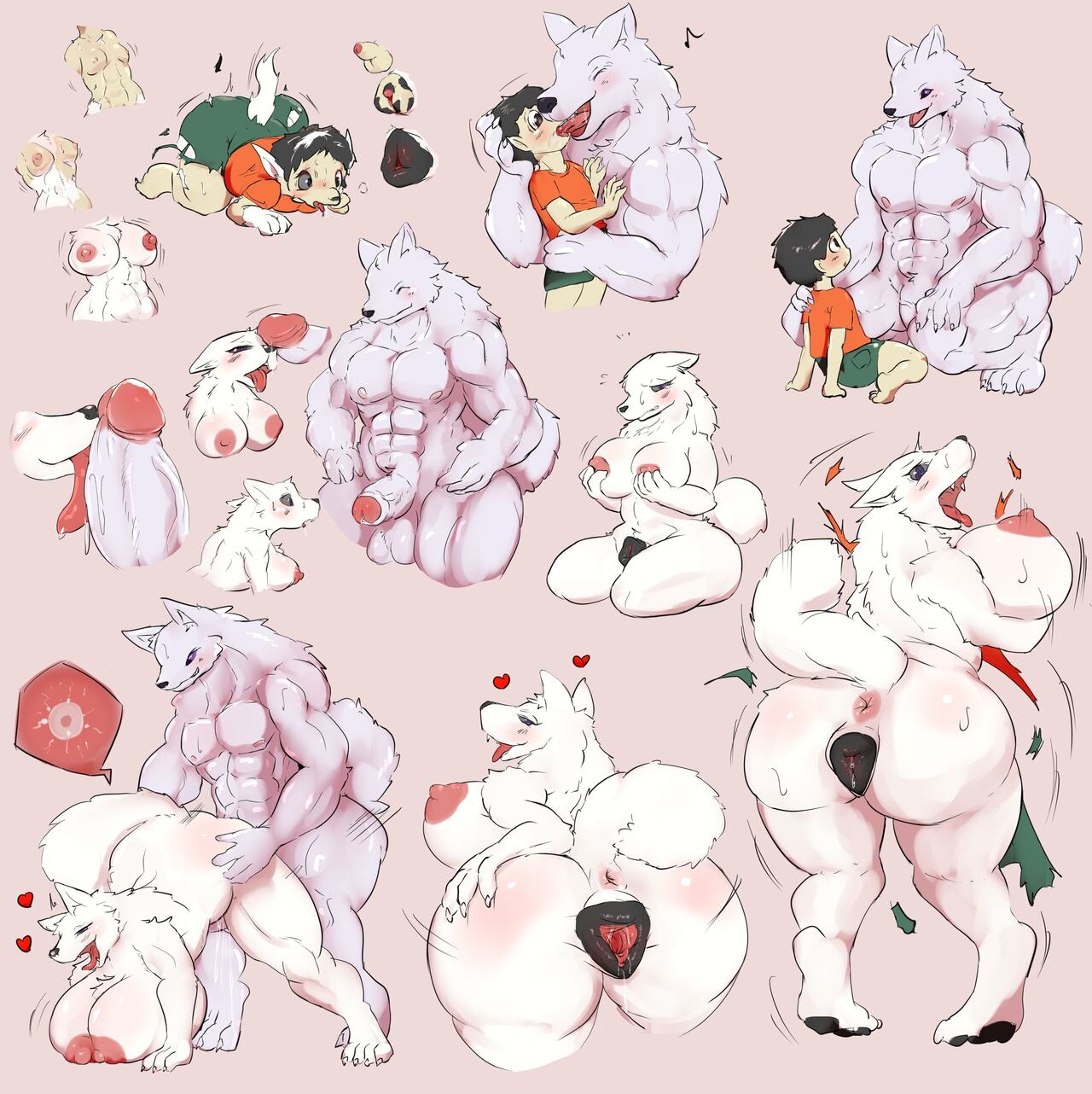 TFS Gallery 2 page 11 full