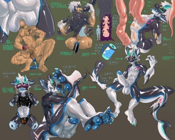 TFS Gallery 2 cover