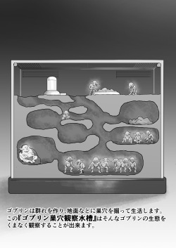 【Shougeki】Goburin no Suana ni Mesu wo Tounyuushite Kansatsushita Kekka ga Yabasugita