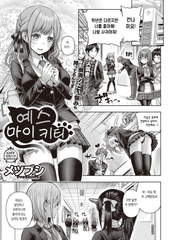 [Metsubushi] Yes my Kitty | 예스 마이 키티 (COMIC ExE 46) [Korean] [Digital] cover