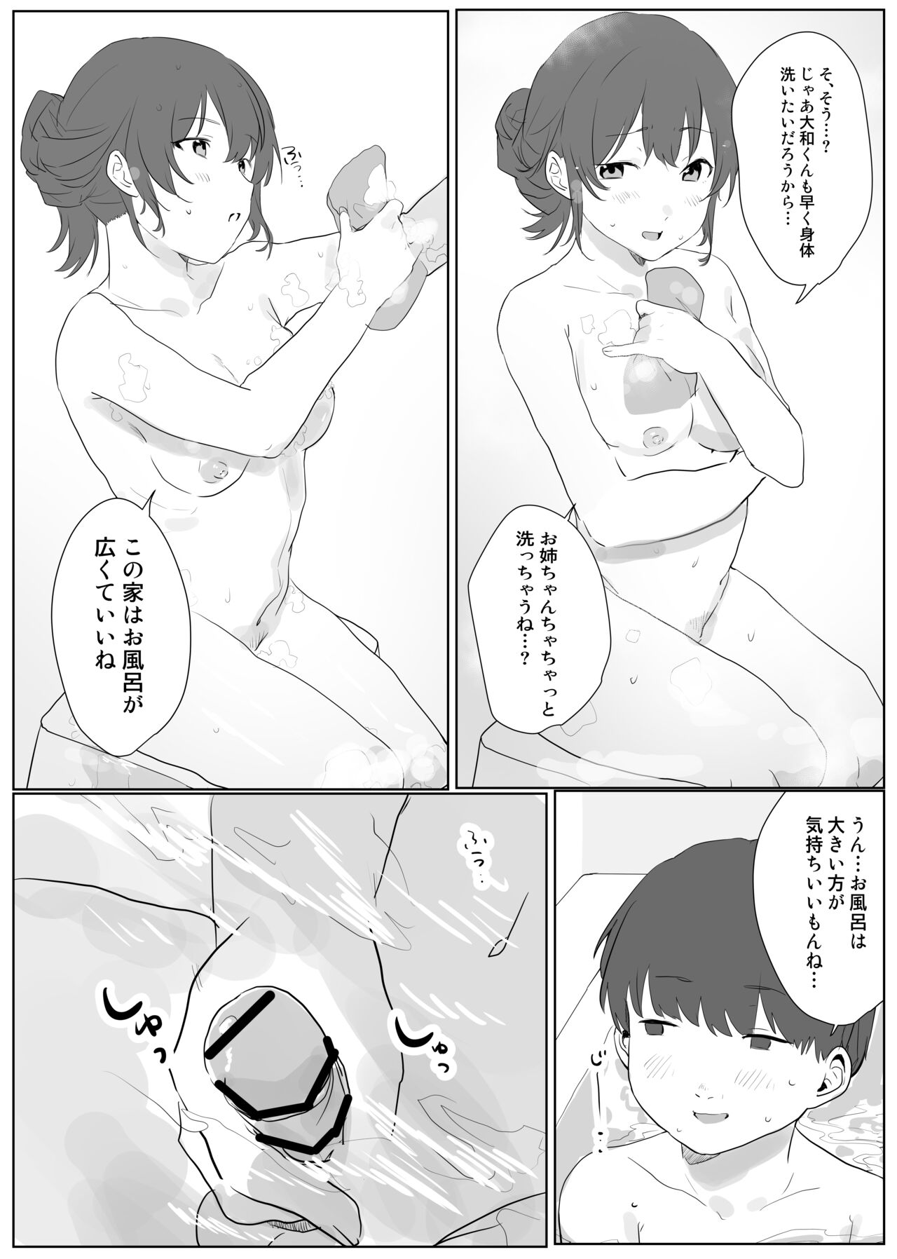 僕に、お姉ちゃんができた。 page 11 full