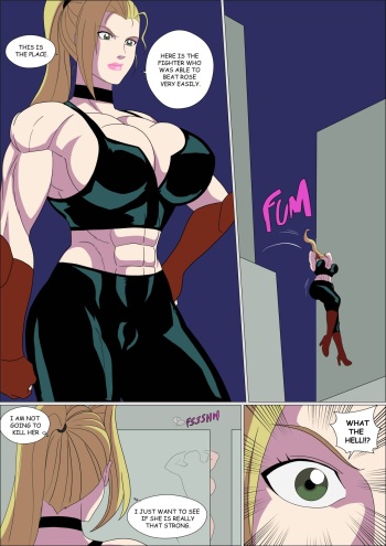 (Zetarok) Street Fighter Girls cover