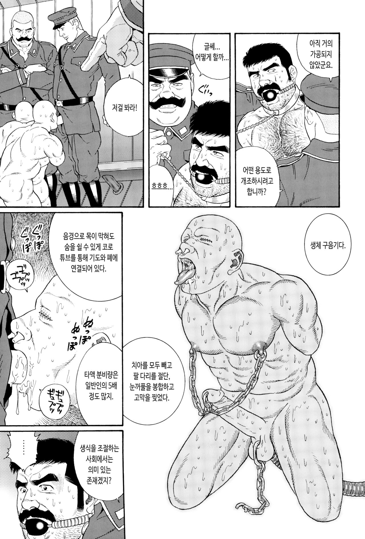 ZENITH page 11 full
