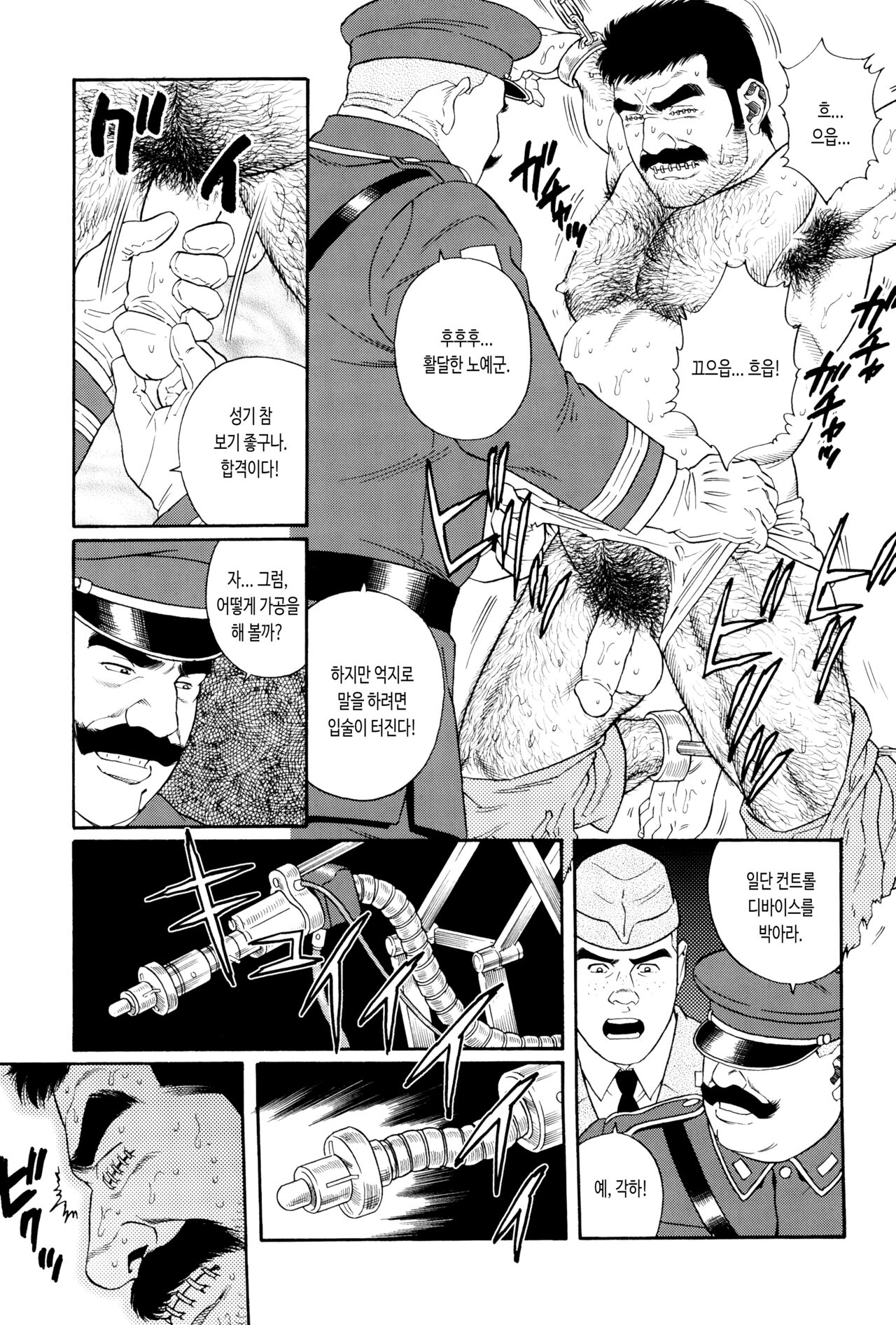 ZENITH page 5 full