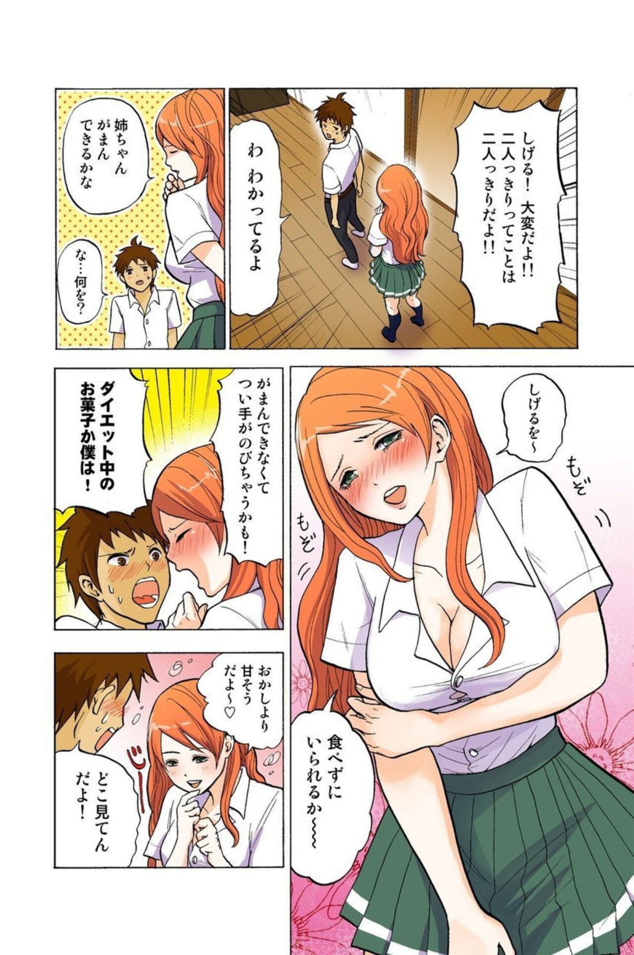 Onēchan ga wakan nai! 1 page 12 full