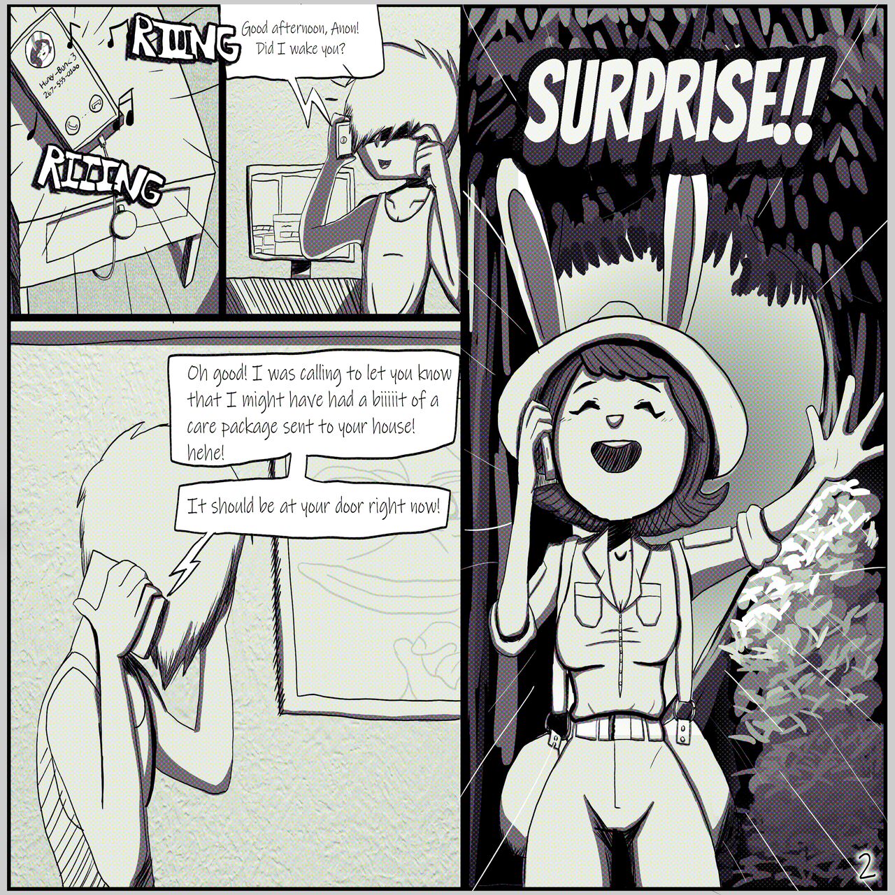HOME BUNNY page 3 full