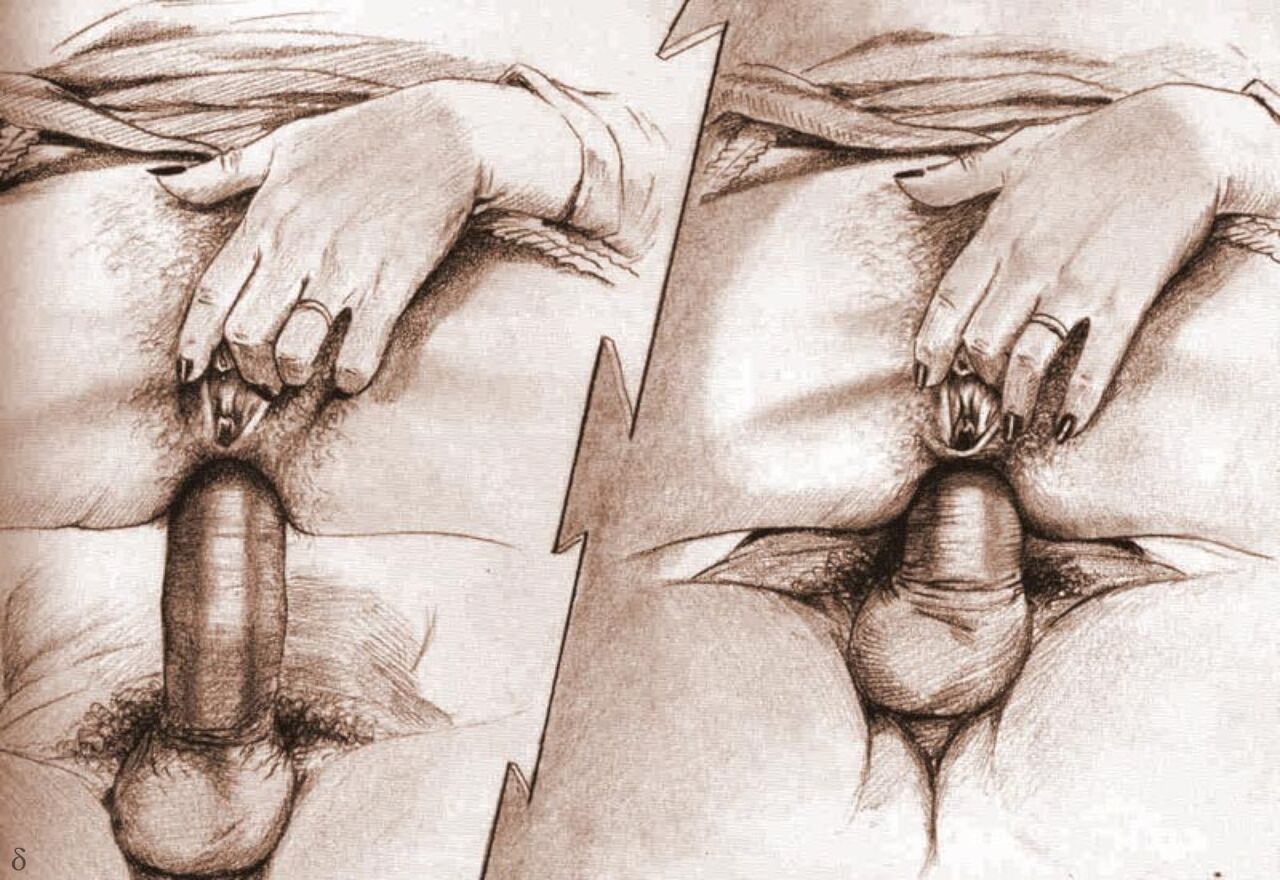 Farrel - Anal Drawings page 12 full