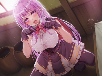 [Seika Kairaku Shoten (Eltoria, Takeshi Rivers, Mutsukidou)]  Tsuihou Tamer no NTR Fukushuudan  [Digital] cover