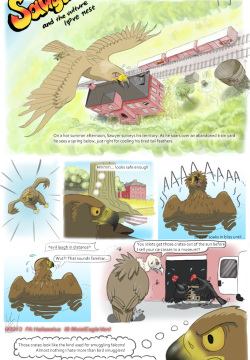 Sawyer and the Vulture Love Nest