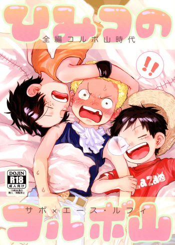 [Hamachi Rinkai Koen (Taiheiyou)] Himitsu no Korubo Yama (ONE PIECE) cover