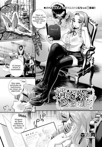 [Oniku] Muko o tazunete Shanzerize! (Comic Bavel 2024-01) [Spanish] cover