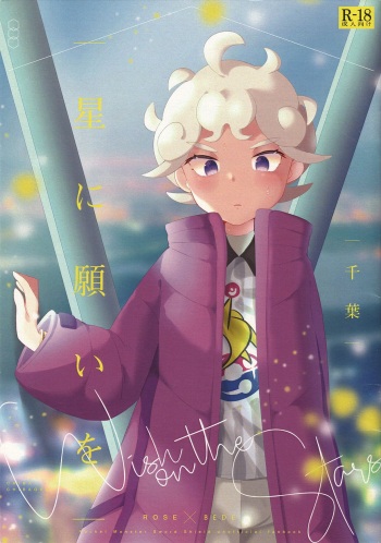 [Chibaken (Chiba)] Hoshi ni Negai o - Wish on the Stars (Pokémon Sword and Shield) cover