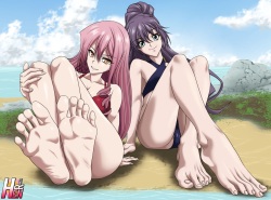 Commissions May 2020