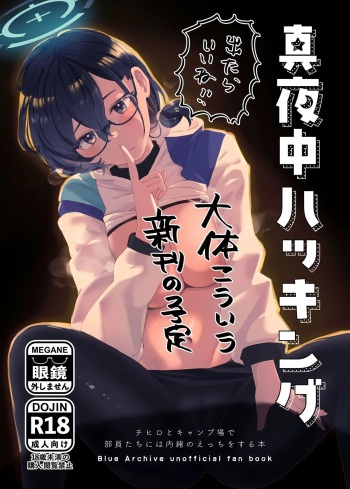 (Sanctum Archive chapter.4) [Corpo Korin (Korin, Ryusei★)] Mayonaka Hacking | 한밤중의 해킹 (Blue Archive) [Korean] cover