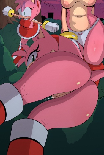 [A name for me] Amy Rose shorts cover