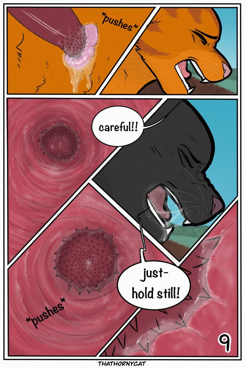 【Warriorcats】 Talltail x Jack Artist:thathornycat page 12 full